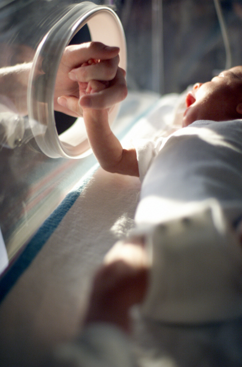 baby reaching out through incubator to waiting hand